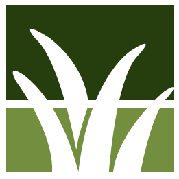 Fishers Lawn Clean Up