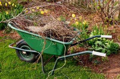 Fall Lawn Cleanup Service detail