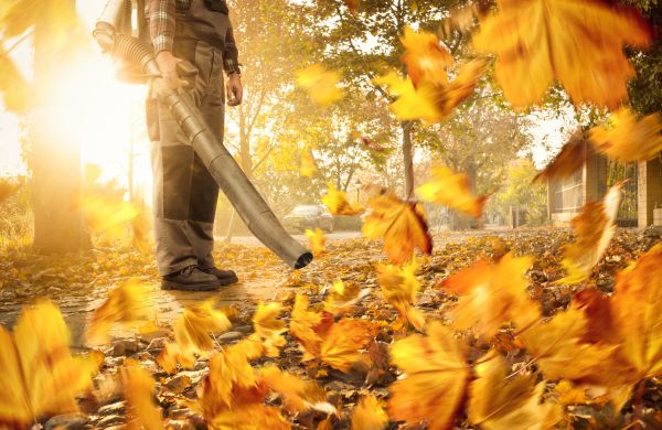 Leaf Blowing Service in Fishers