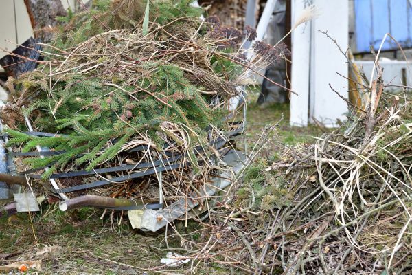 Yard Waste Removal Service in Fishers