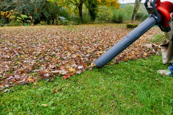 Leaves Vacuuming in Fishers