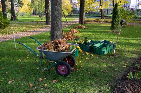 Leaf Clearing Service in Fishers