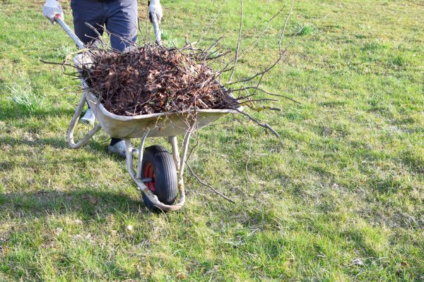 Yard Brush Removal in Fishers