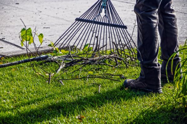 Yard Debris Cleanup in Fishers