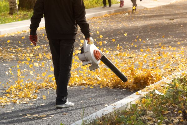 Commercial Leaf Removal in Fishers